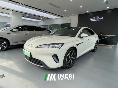 2025 BYD Dolphin 07 DM-i 2026 DM-i 1.5T 230km Flagship - ავტომობილი ჩინეთიდან