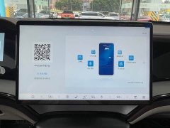 BYD Dolphin 07 DM-i 2026 DM-i 1.5T 230km Flagship - ფოტო 8