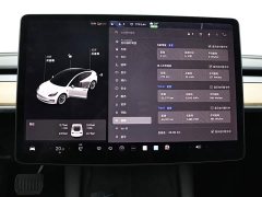 Tesla Model 3 Standard Range RWD Upgrade - photo 13