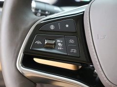 Denza BYD Denza D9 2024 DM-i 980 Four-Wheel Drive Premium - ფოტო 16
