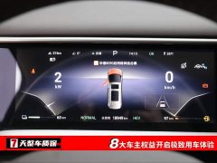 Denza BYD Denza D9 2024 DM-i 980 Four-Wheel Drive Premium - ფოტო 3