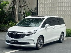 Buick GL8 ES Land Respect 653T Luxury - ფოტო 1
