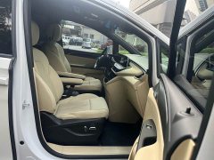 Buick GL8 ES Land Respect 653T Luxury - ფოტო 17