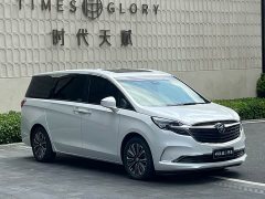 Buick GL8 ES Land Respect 653T Luxury - ფოტო 2