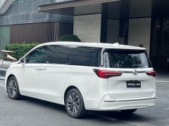Buick GL8 ES Land Respect 653T Luxury - ფოტო 4