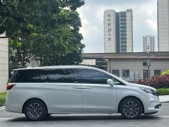 Buick GL8 ES Land Respect 653T Luxury - ფოტო 8