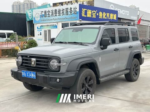 2022 Tank 300 2021 Off-Road Edition 2.0T Challenger - ავტომობილი ჩინეთიდან