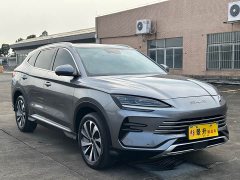 BYD Song Plus New Energy Champion Edition DM-i 110KM Flagship - ფოტო 3
