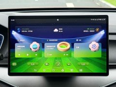 BYD Yuan Plus DM-i Champion Edition 112KM Deluxe - ფოტო 18
