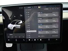 Tesla Model Y Long Range All-Wheel Drive - ფოტო 13