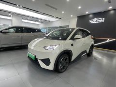 BYD Seagull Smart Drive 405km Flight Edition - ფოტო 1