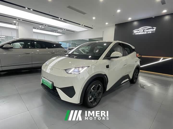 BYD Seagull Smart Drive 405km Flight Edition