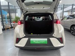 BYD Seagull Smart Drive 405km Flight Edition - ფოტო 13