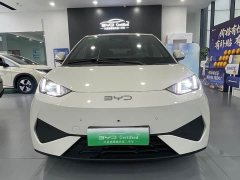 BYD Seagull Smart Drive 405km Flight Edition - ფოტო 2