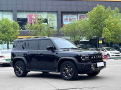 Jetour Jietu Traveler 2.0T AWD Traverse PRO - ფოტო 3