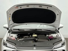 BYD Qin PLUS DM-i Smart Drive Edition 55KM Leading - ფოტო 19