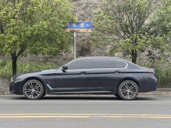 BMW 5 Series 530Li Premier M Sport Package - ფოტო 7