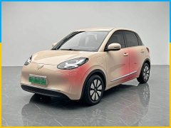 Wuling Binguo 2024 333km Joy Edition - ფოტო 1