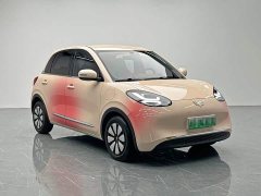 Wuling Binguo 2024 333km Joy Edition - ფოტო 8