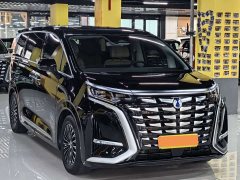 Denza BYD Denza D9 2024 DM-i 980 Four-Wheel Drive Premium - ფოტო 3
