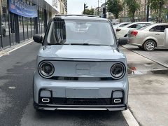 Geely Panda 200km Panda Kart - ფოტო 2
