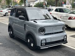 Geely Panda 200km Panda Kart - ფოტო 6