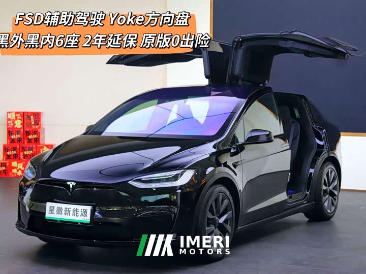 Tesla Model X Dual Motor All-Wheel Drive