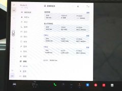 Tesla Model X Dual Motor All-Wheel Drive - ფოტო 17