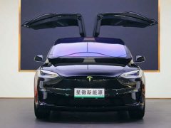Tesla Model X Dual Motor All-Wheel Drive - ფოტო 2