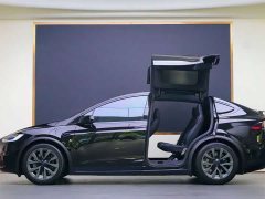 Tesla Model X Dual Motor All-Wheel Drive - ფოტო 20