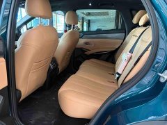 BYD Song L DM-i 112km Leading Edition - ფოტო 13