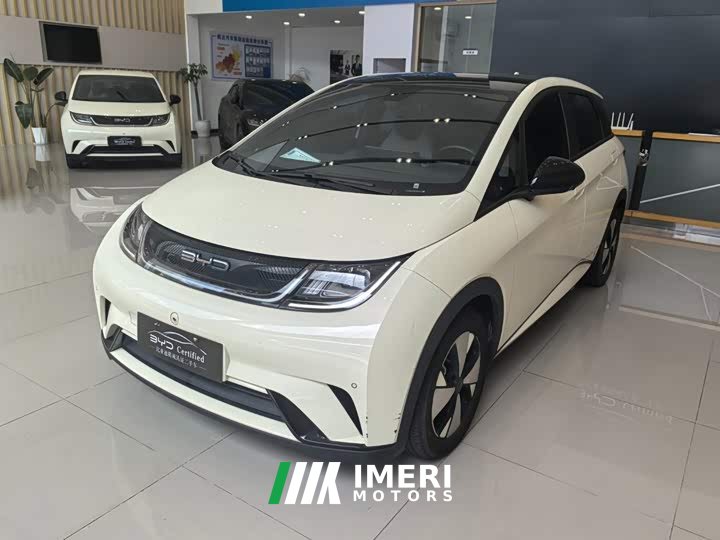 BYD Dolphin 420km Fashion Edition - ავტომობილი ჩინეთიდან