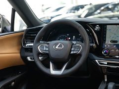 Lexus RX 350h FWD Pleasure Edition - ფოტო 14