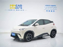 BYD Seagull Flying Edition - ფოტო 1