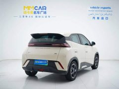 BYD Seagull Flying Edition - ფოტო 3