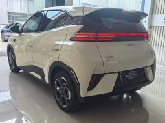 BYD Seagull Smart Drive 405km Flight Edition - ფოტო 10