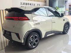 BYD Seagull Smart Drive 405km Flight Edition - ფოტო 12
