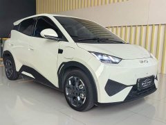 BYD Seagull Smart Drive 405km Flight Edition - ფოტო 3