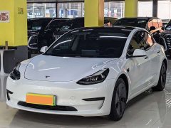 Tesla Model 3 Facelift Standard Range RWD Upgrade 3D1 - ფოტო 1