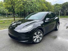 Tesla Model Y Long Range All-Wheel Drive - ფოტო 1