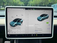 Tesla Model Y Long Range All-Wheel Drive - ფოტო 13