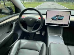 Tesla Model Y Long Range All-Wheel Drive - ფოტო 17