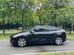 Tesla Model Y Long Range All-Wheel Drive - ფოტო 19