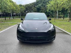 Tesla Model Y Long Range All-Wheel Drive - ფოტო 2