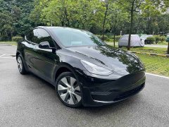 Tesla Model Y Long Range All-Wheel Drive - ფოტო 3
