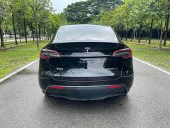 Tesla Model Y Long Range All-Wheel Drive - ფოტო 5