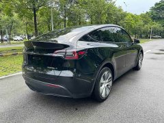 Tesla Model Y Long Range All-Wheel Drive - ფოტო 6