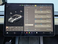 Tesla Model Y Long Range All-Wheel Drive - ფოტო 12