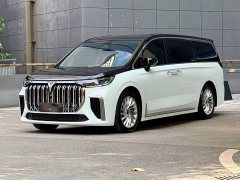 Voyah Dream PHEV Extended Range Luxury Edition - ფოტო 1