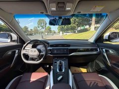 Geely Boyue 1.8TD DCT Smart Elegant - ფოტო 13